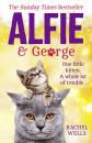 Скачать Alfie and George: A heart-warming tale about how one cat and his kitten brought a street together - Rachel  Wells