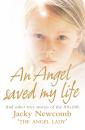 Скачать An Angel Saved My Life: And Other True Stories of the Afterlife - Jacky  Newcomb