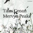 Скачать Titus Groan - Mervyn  Peake