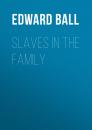 Скачать Slaves in the Family - Edward Ball