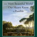 Скачать More Beautiful World Our Hearts Know Is Possible - Charles Eisenstein
