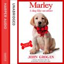 Скачать Marley: A Dog Like No Other - John  Grogan