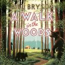 Скачать Walk In The Woods - Bill  Bryson