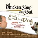 Скачать Chicken Soup for the Soul: What I Learned from the Dog - 36 Stories about Putting Things in Perspective, Kindness, and Unconditional Love - Джек Кэнфилд