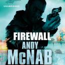 Скачать Firewall - Andy  McNab