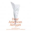 Скачать Dear American Airlines - Jonathan  Miles