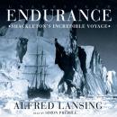 Скачать Endurance - Alfred Lansing