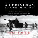 Скачать Christmas Far from Home - Stanley Weintraub