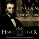 Скачать Lincoln at Cooper Union - Harold Holzer
