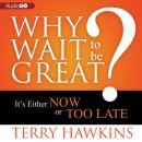 Скачать Why Wait to Be Great? - Terry Hawkins