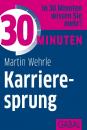 Скачать 30 Minuten Karrieresprung - Martin  Wehrle