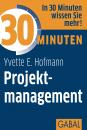 Скачать 30 Minuten Projektmanagement - Yvette E.  Hofmann