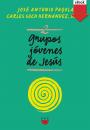 Скачать Grupos Jóvenes de Jesús 2 - José Antonio Pagola Elorza