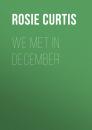 Скачать We Met in December - Rosie Curtis