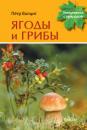 Скачать Ягоды и грибы - П. М. Волцит