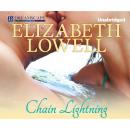 Скачать Chain Lightning (Unabridged) - Elizabeth  Lowell
