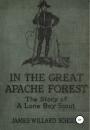 Скачать В Великом лесу апачей - Джеймс Уиллард Шульц