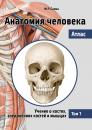 Скачать Анатомия человека. Атлас. Том 1. Учение о костях, соединениях костей и мышцах - М. Р. Сапин