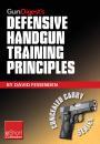 Скачать Gun Digest's Defensive Handgun Training Principles Collection eShort - David  Fessenden