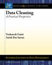 Скачать Data Cleaning - Venkatesh Ganti