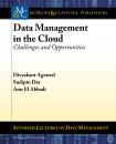 Скачать Data Management in the Cloud - Divyakant Agrawal