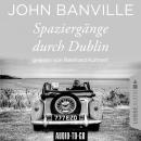 Скачать Spaziergänge durch Dublin (Ungekürzt) - John Banville