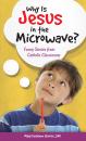 Скачать Why Is Jesus in the Microwave? Funny Stories from Catholic Classrooms - Mary Kathleen Glavich, SND