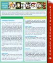 Скачать Superfoods (Speedy Study Guides) - Speedy Publishing