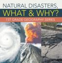 Скачать Natural Disasters, What & Why? : 1st Grade Geography Series - Baby Professor