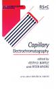 Скачать Capillary Electrochromatography - Отсутствует
