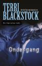 Скачать Ondergang - Terri Blackstock