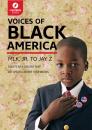 Скачать Voices of Black America - Lightning Guides
