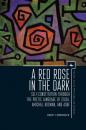 Скачать A Red Rose in the Dark - Dorit Lemberger