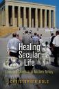 Скачать Healing Secular Life - Christopher Dole