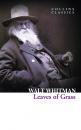Скачать Leaves of Grass - Walt  Whitman