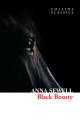 Скачать Black Beauty - Anna  Sewell