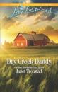 Скачать Dry Creek Daddy - Janet  Tronstad
