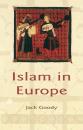 Скачать Islam in Europe - Группа авторов