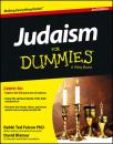 Скачать Judaism For Dummies - David  Blatner