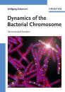 Скачать Dynamics of the Bacterial Chromosome - Wolfgang  Schumann