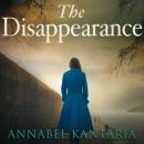 Скачать Disappearance - Annabel Kantaria