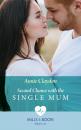 Скачать Second Chance With The Single Mum - Annie Claydon