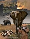 Скачать Охота за слоновой костью - Уилбур Смит
