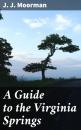 Скачать A Guide to the Virginia Springs - J. J. Moorman