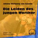 Скачать Die Leiden des jungen Werther (Ungekürzt) - Johann Wolfgang von Goethe