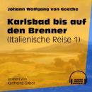 Скачать Karlsbad bis auf den Brenner - Italienische Reise, Teil 1 (Ungekürzt) - Johann Wolfgang von Goethe