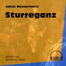 Скачать Sturreganz (Ungekürzt) - Jakob Wassermann