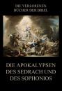 Скачать Die Apokalypsen des Sedrach und des Sophonios - Paul Rießler
