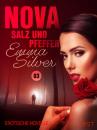 Скачать Nova 3 - Salz und Pfeffer: Erotische Novelle - Emma Silver
