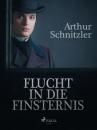 Скачать Flucht in die Finsternis - Arthur Schnitzler
